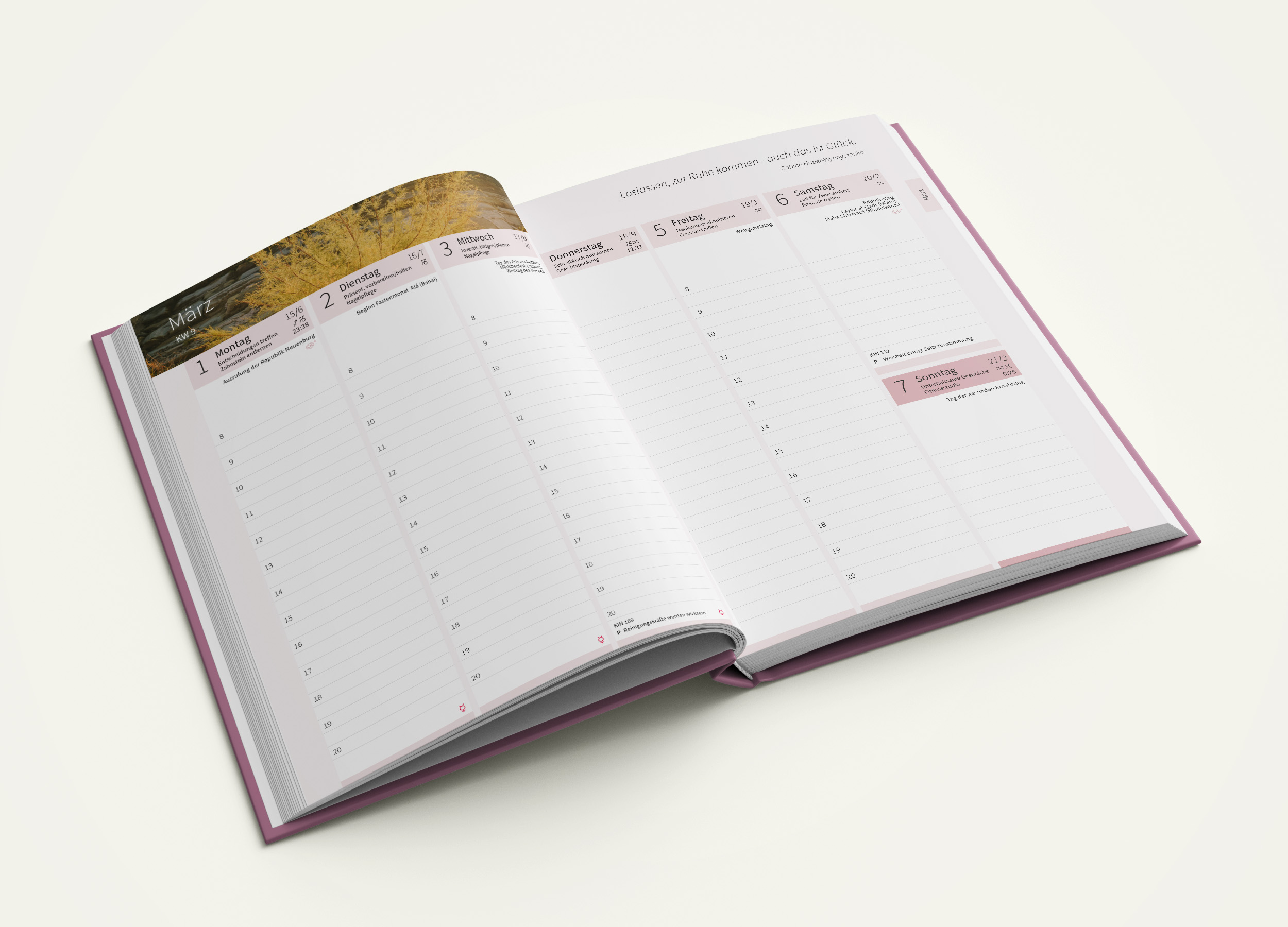Buchkalender_desaltenWissens_2027-offen-01