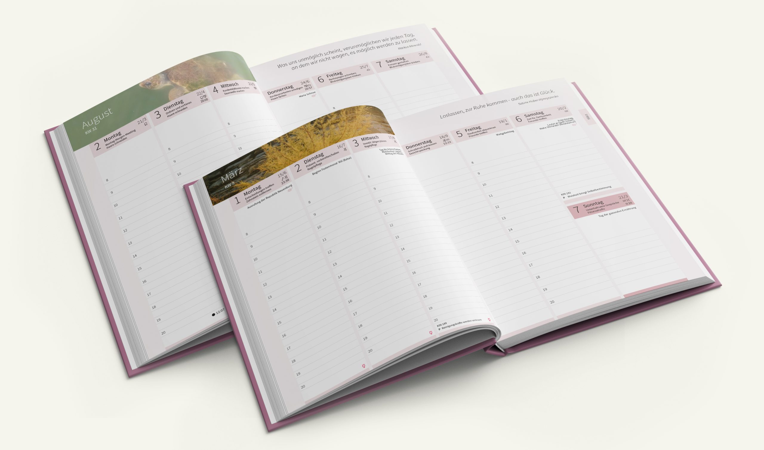 Buchkalender_desaltenWissens_2027-offen_beide